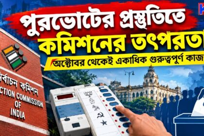 Municipal Election