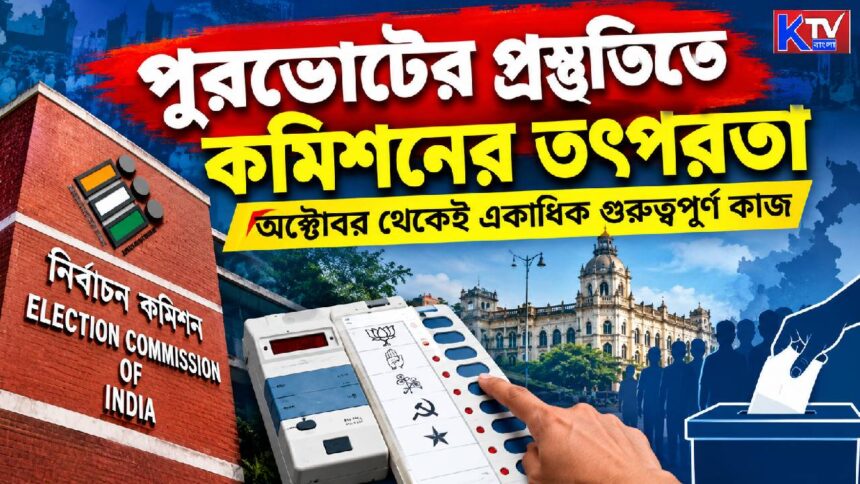 Municipal Election