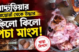 Rotten Meat Raid