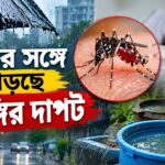 Dengue Alert