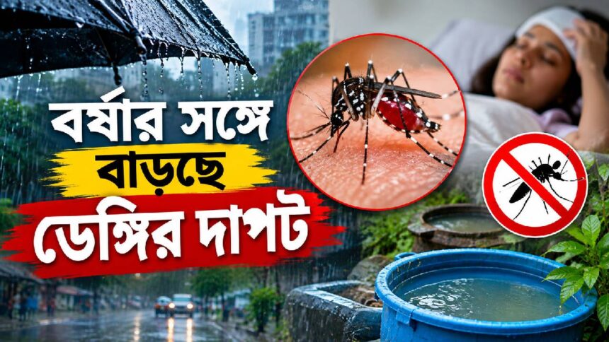 Dengue Alert