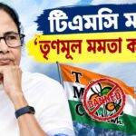 Mamata Banerjee Symbol