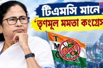 Mamata Banerjee Symbol