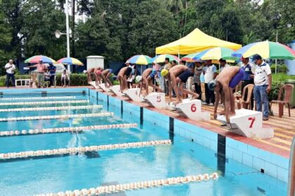 State Swimmers