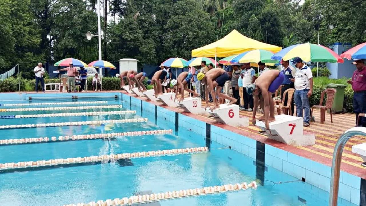 State Swimmers