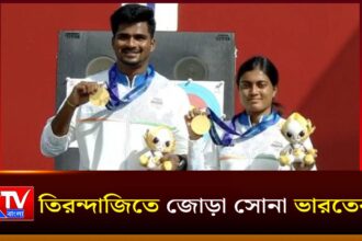 India Archery Gold