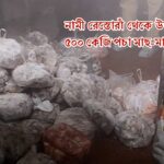Tangra