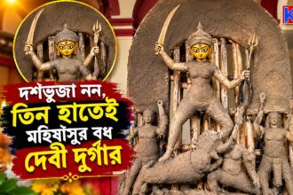 Tri Bhuja Durga