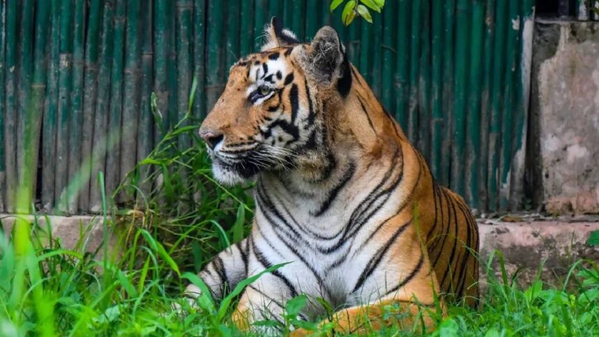Buxa Tiger Reserve