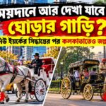 Horse Carriage Ban