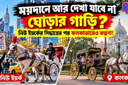 Horse Carriage Ban