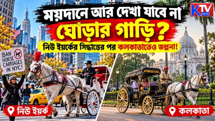 Horse Carriage Ban
