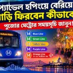 Kolkata Metro Durga Puja