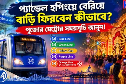 Kolkata Metro Durga Puja