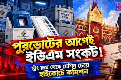 Municipal Elections