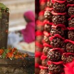 Rudraksha