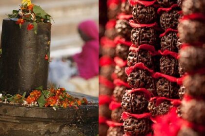 Rudraksha