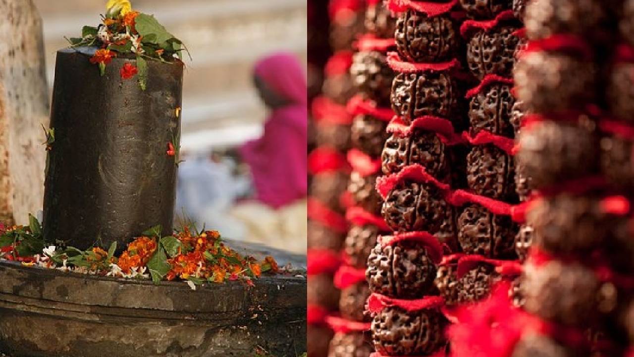 Rudraksha