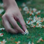 October Movie Review