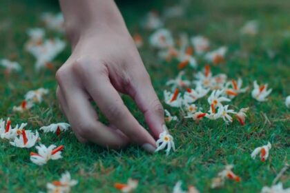 October Movie Review