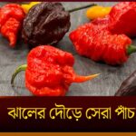 Worlds Hottest Chilli