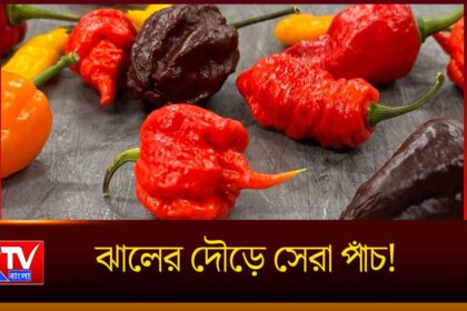 Worlds Hottest Chilli
