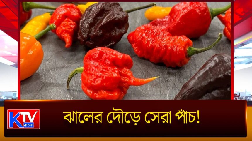 Worlds Hottest Chilli
