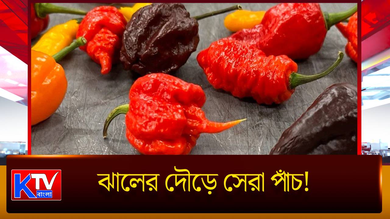 Worlds Hottest Chilli