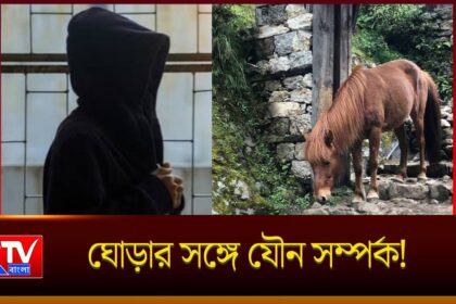 Animal Abuse Case