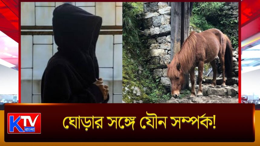 Animal Abuse Case