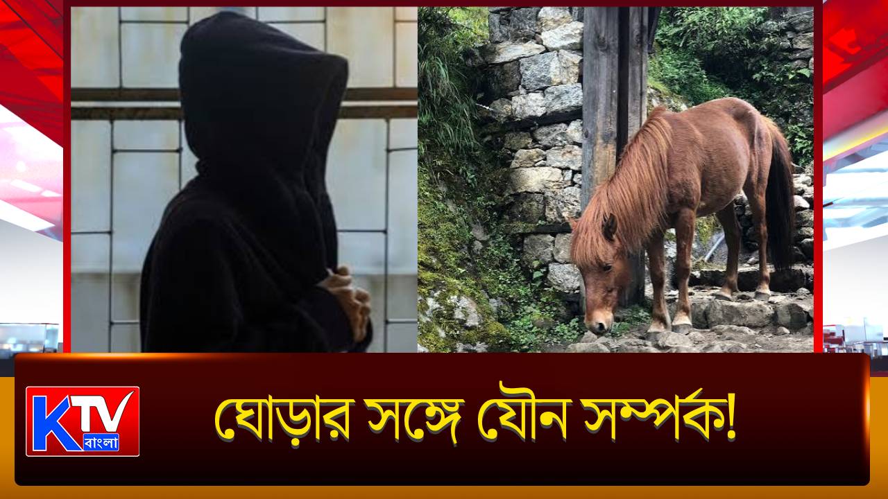 Animal Abuse Case