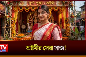 Ashtami Special Saree