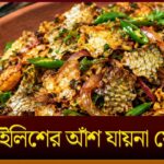 Hilsa Fish Scales Fry