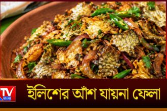 Hilsa Fish Scales Fry