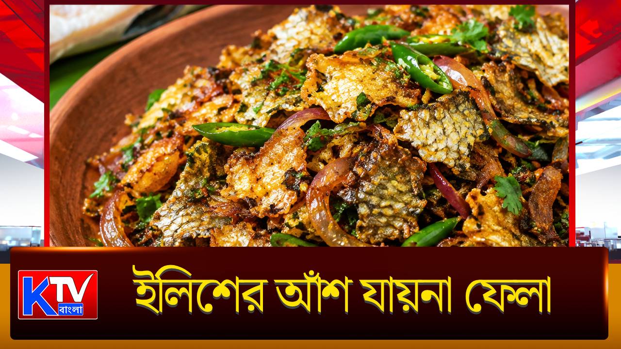 Hilsa Fish Scales Fry